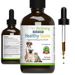 Pet Wellbeing Healthy Gums for Dogs & Cats - Vet-Formulated - Healthy Gums & Teeth, Gingivitis, Fresh Breath - Natural Herbal Topical 4 oz (118 ml)