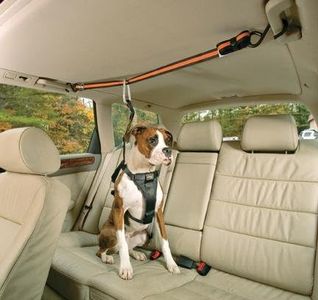 Kurgo Automobile Zip-Line, Medium (Dogs 25 to 50 Pounds)