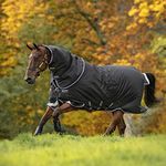 HORSEWARE Ireland Amigo Bravo 12 Pl