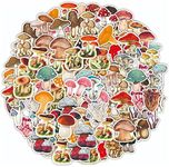 50Pcs Cup Stickers Easy to Stick Co