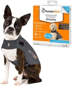 Thundershi