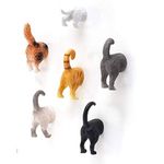 Hoovy Cat Butt Refrigerator Picture Magnets: 6 Cute & Funny Decorative Kitten Photo Magnets for Fridge| Cat Lover Gift Set