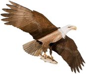 Jackite American Bald Eagle Kite