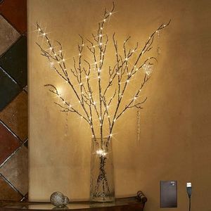 LITBLOOM Lighted Willow Branches Silver Glittered 32IN 120 LED with Timer Battery Operated and USB Plug in, Tree Branch with Warm White Lights for Holiday Christmas Decoration