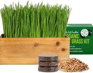 The Cat Ladies Cat Grass Kit (Organ