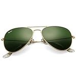 Pro Acme Classic Aviator Sunglasses