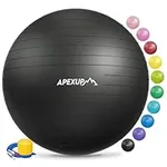 APEXUP Yoga Ball Exercise Ball, Ant