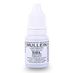 SBL Mullein Ear Drops Ear Infections Earache Effective Relief Ear Pain, Swimmer's Ear, Excessive and Hardened Ear Wax | Ear Wax Removal Solution with Natural Ingredients