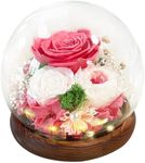 Leayiuvan Preserved Flowers Glass Dome LED - Eternal Rose That Last Over 1 Year Gift for Wife Girlfriend Daughter Valentines Day Mothers Day Anniversary Day Birthday Christmas (Pink)