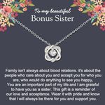 NOURISHLOV Sister Gifts, Sterling Silver Interlocking 2 Hearts Necklace Gifts for Sister in Law, Sister in Law birthday Gifts for Bonus Sister, Unbiological sister gifts, Wedding Christmas Jewelry, No