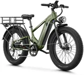M2 pro Electric Bike,1800W Peak Mot