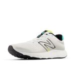 New Balance Men's 520 V8 Running Shoe White