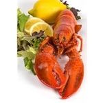 1 and 1/8 lb Live Maine Lobster - P