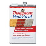 Thompson's TH.024101-16 Waterseal Clear Multi-Surface Waterproofer, gallon