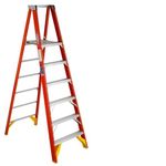 Werner P6206 300-Pound Duty Rating Fiberglass Platform Ladder, 6-Foot