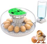 Okkobi M12 - Egg Incubator with Automatic Turning and Humidity Control - 12/24 Eggs, 360° View, Easy to Use and Clean - Incubators for Hatching - Made for UK - White & Green