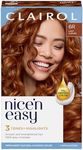 Clairol Nice'n Easy Permanent Hair