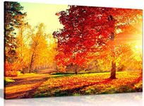 Autumn Scene Trees and Leaves in Sun Light Canvas Wall Art Picture Print (18x12in) for Living Room