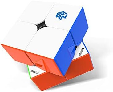 GAN 251 M Pro, 2x2 Magnetic Speed Cube Stickerless Gans 251 Mini Cube Puzzle Toy for Beginner(Frosted Surface Primary Internal)