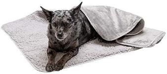 Furhaven Waterproof & Self-Warming 