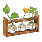 Plant Terrarium with Wooden Stand, 