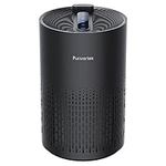 Air Purifiers for Home, HEPA Filter