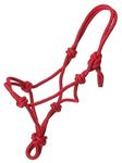 ALTABISH Export PP Horse Rope Halter Cow Halter Cattle Halter Red Color Mohra Mohri