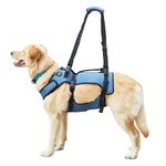 Coodeo Dog Lift Harness, Support & Recovery Sling, Pet Rehabilitation Lifts Vest Adjustable Breathable Straps for Old, Disabled, Joint Injuries, Arthritis, Paralysis Dogs Walk (XLarge)