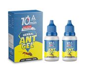 Amish Herbal Ant Gel Pack of 2 | 10 Min Max Bait Formula | Powerful Organic Repellent & Cleaner | Removes Red,Black Ant, Antox Pests | Natural Dawa Protector for Home & Kitchen