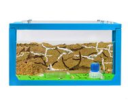 AntHouse - Natural Sand Ant Farm | 3D Sky Blue Starter Kit 20x10x10 cm