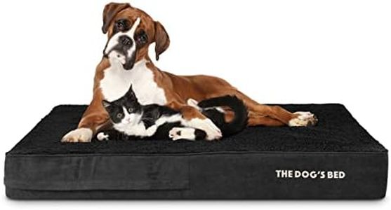 The Dog’s 