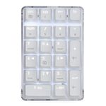 Qisan Mechanical Numeric Keypad GATERON Brown Switch Wired Crystal Case White Backlit Gaming Keypad 21 Keys Mini Numpad Portable Mechanical Numpad Extended | Laptop Accessories | keypad for Computer