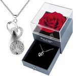 NVRGIUP Preserved Red Real Rose, Mothers Day Gifts for Mom with I Love You Necklace in 100 Languages, Enchanted Rose Flower Mother’s Day Gifts Ideas from Daughter Husband Son for Her Grandma Wife