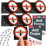 SOL 6pk Ant Traps, Bait Stations for UK Home Indoor and Outdoor Use, Attracts and Kills, Easy to Use and Dispose, Effective Killer for Pest Control, Ideal for Stopping Infestations