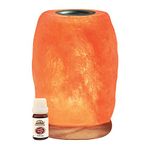 Himalayan Glow Salt Lamp, Hand Carved Natural Aroma Therapy (ETL Certified) Dimmable Switch with Neem Wooden Base & Bulb