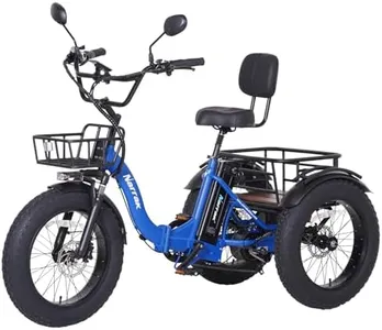 Narrak Electric Tricycle for Adults, 750W(Peak 1350W), 48V13Ah Ebike, 20"x4.0" Aluminum Folding Fat Tire 3 Wheel Electric Trike, Max 20MPH Hydraulic Brake, Rear Motor Differential