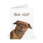 Adorable Dog Greeting Card - Funny 'How Old?' Joke - Ideal for Dog Lovers, Birthdays, and Special Occasions