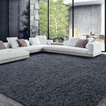 HOMBYS Fluffy Large Area Rug for Li