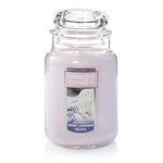 Yankee Candle Company 1521680 Honey Lavender Gelato Scented Wax Candle, Large Jar