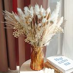 69 pcs /11 Various Dried Pampas Grass Décor, 17 inch Pampas Grass for Flower Arrangements Boho Wedding Party Home Decor (69Pcs-Pampas Grass)