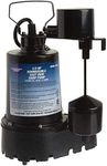 Superior Pump 92341 1/3 HP Cast Iro