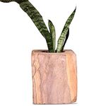 HINS Modern Design Natural Stone Unique Shape Planter and Trendy Pot for Indoor and Outdoor Gardening (Design 1)