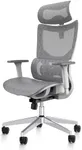 PatioMage Ergonomic Office Chair Desk Chair High Back Mesh Computer Chair with Lumbar Support, Adjustable Headrest, Seat Depth, 3D Armrests Executive Swivel Chair Light Grey