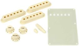 Fender Aged White Stratocaster Accessory Kit