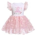 Butterfly 1st Birthday Party Dress for Baby Girls Cake Smash Toddlers Little Butterfly is Turning One Year Old Sequin Flower Flutter Sleeve Tulle A-line Short Skirt Summer Pageant Pink Sequin 1 Year