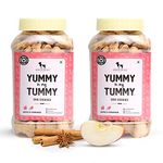 Heads Up For Tails Yummy in My Tummy Apple and Cinnamon Veg Dog Biscuits for Adult Dog & Puppy - 320gm | Veg Dog Treats | Made with Real Ingredients | No Added Flavours | Pack of 2