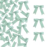 Meseey 100 Pcs Pastel Satin Ribbon Bows with Twist Tie 2.5 Inch Pretied Premade Colored Craft Bows for Gift Wrapping Basket Wedding Baby Shower Brithday Party (Sage Green)