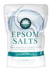 TWO PACKS of Elysium Spa Epsom Salts Original 450g