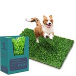 Cshionary Washable Artificial Grass Dog Potty Pad - Fake Grass Pee Pad, 30x17 1Pack Reusable Indoor/Outdoor Puppy Training Mat for Dogs & Small Pets, Artificial Grass Dog Doormat (120x66cm(1 Pack)