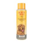 Burt's Bees Dry Shampoos